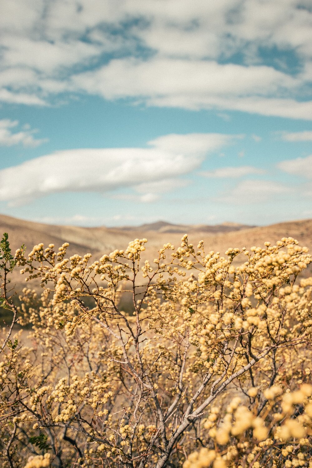 Winter Patagonia — OneSeed Expeditions Winter Patagonia — OneSeed Expeditions