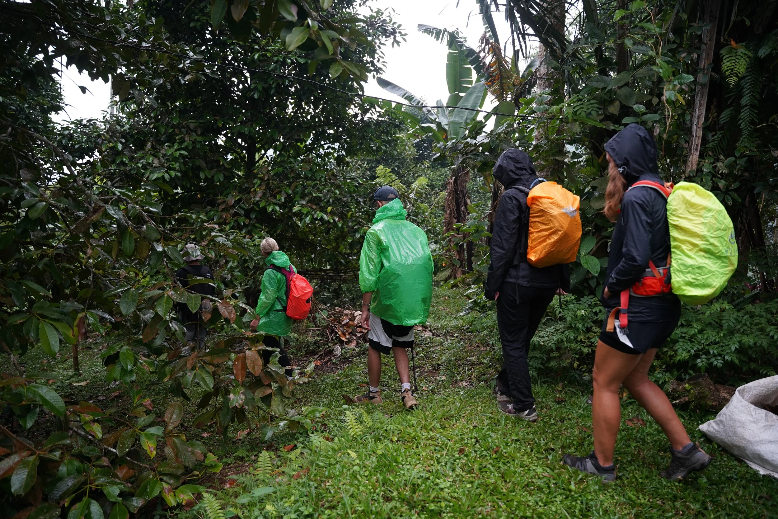 bali-rainforest-trek.jpg