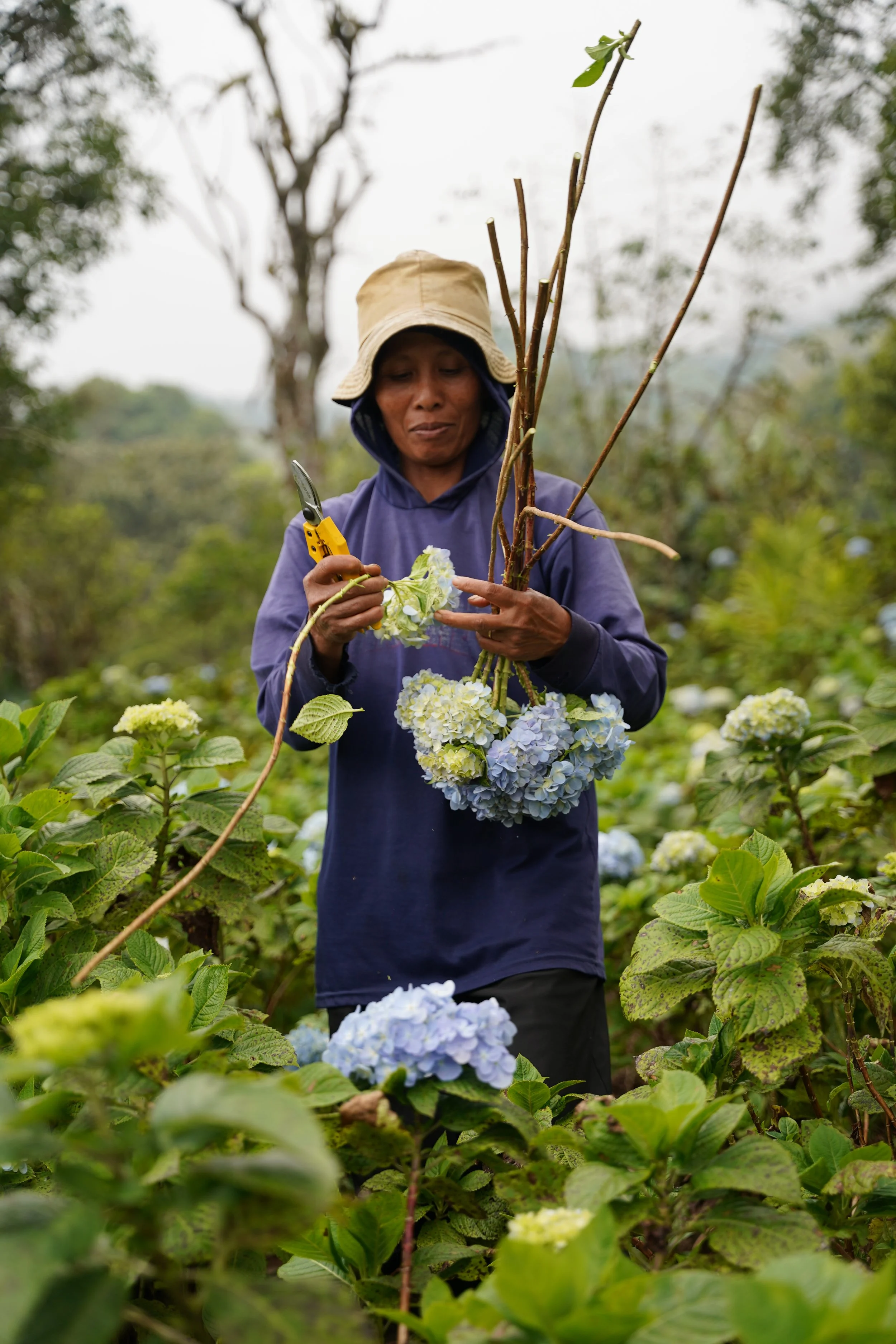 bali-flower-farmer.jpg