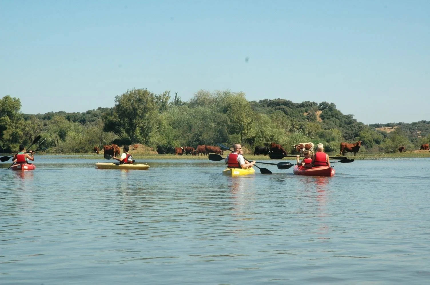 Optional kayaking in Alqueva