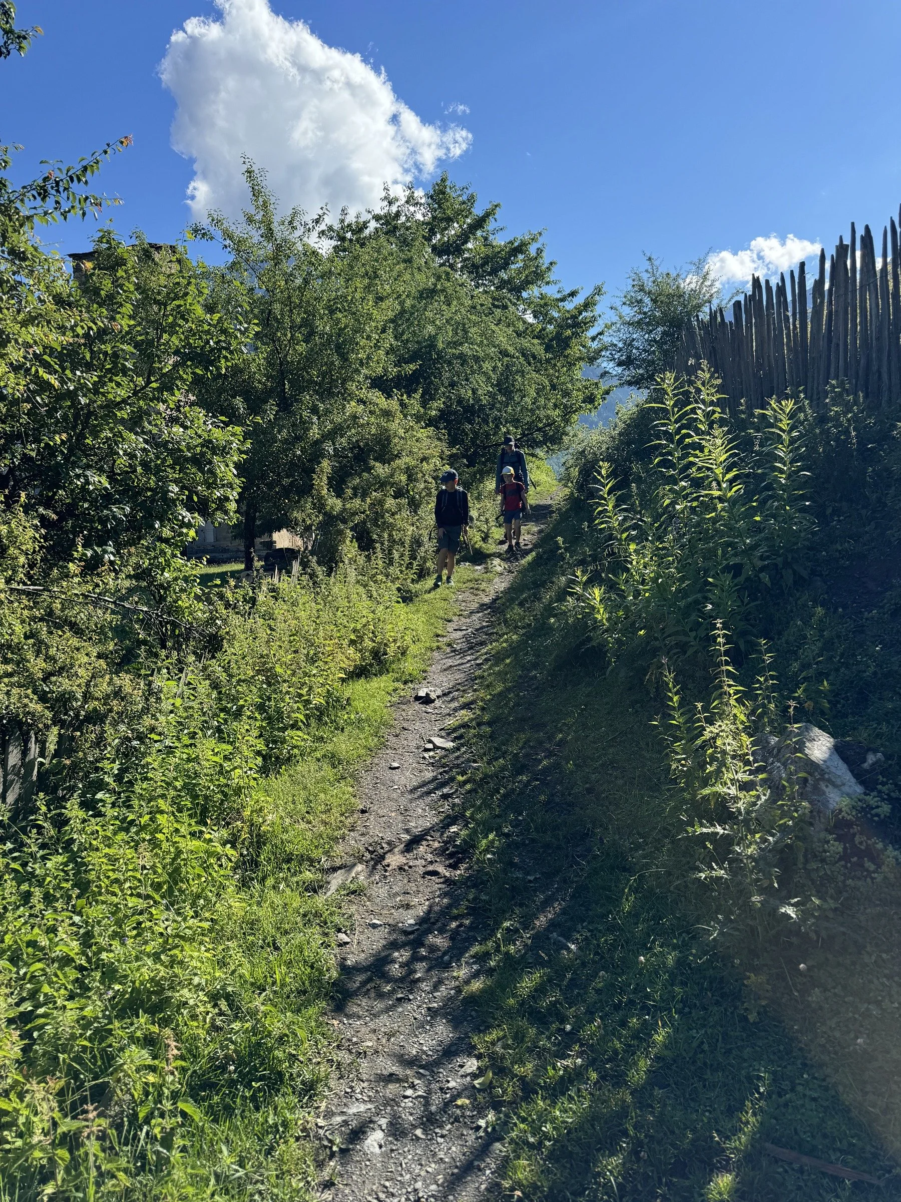 Mountain trail through forest in Svaneti, Georgia