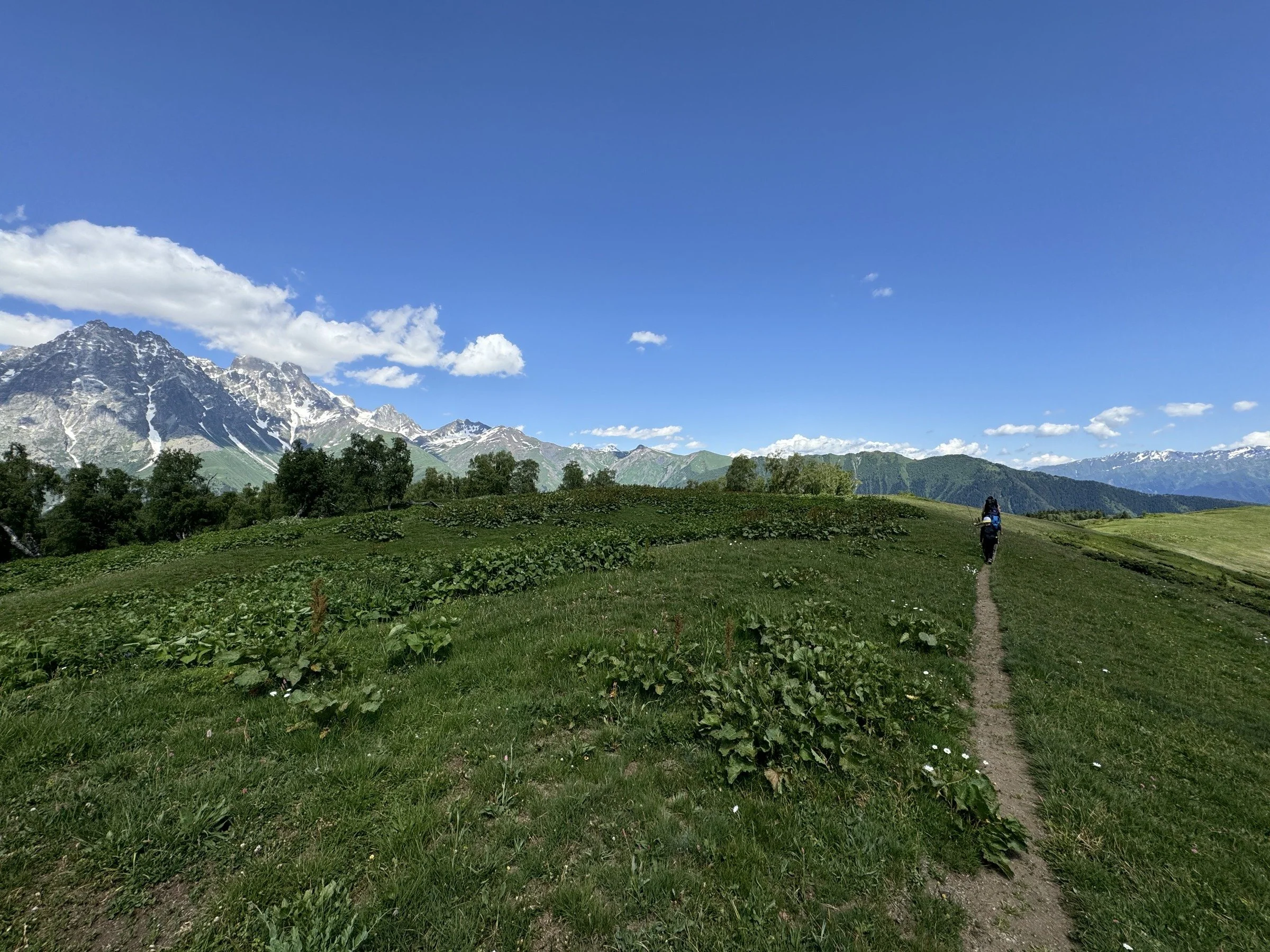 Mountain trail beneath the peaks of Svaneti, Georgia