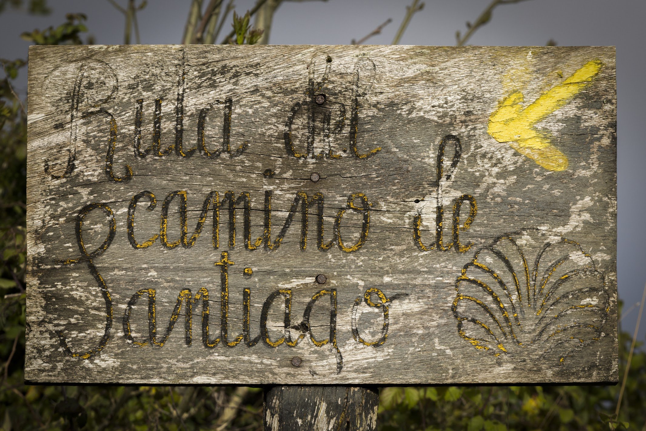 camino-waymarker.jpg