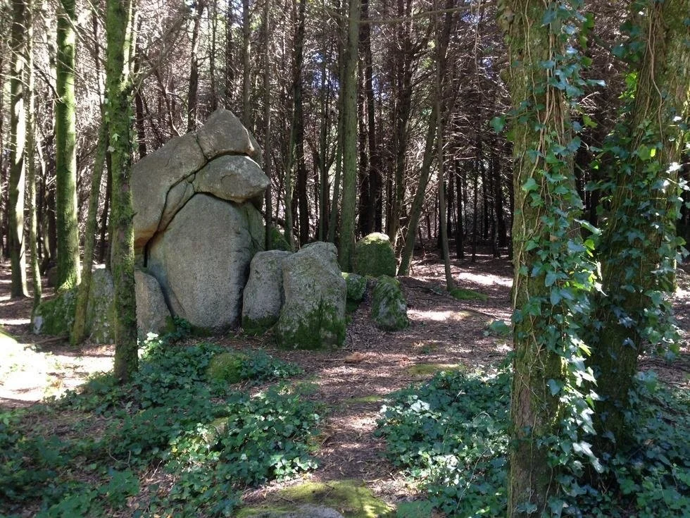 p06-02.jpg