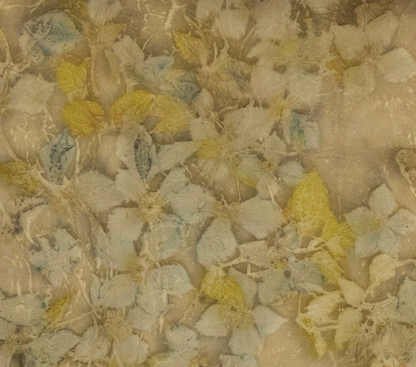 273DSC6852-2 copy.jpeg