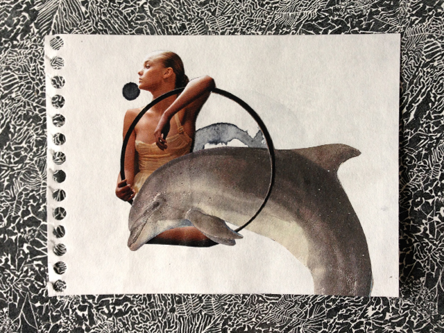 Collage_web15_68.jpg