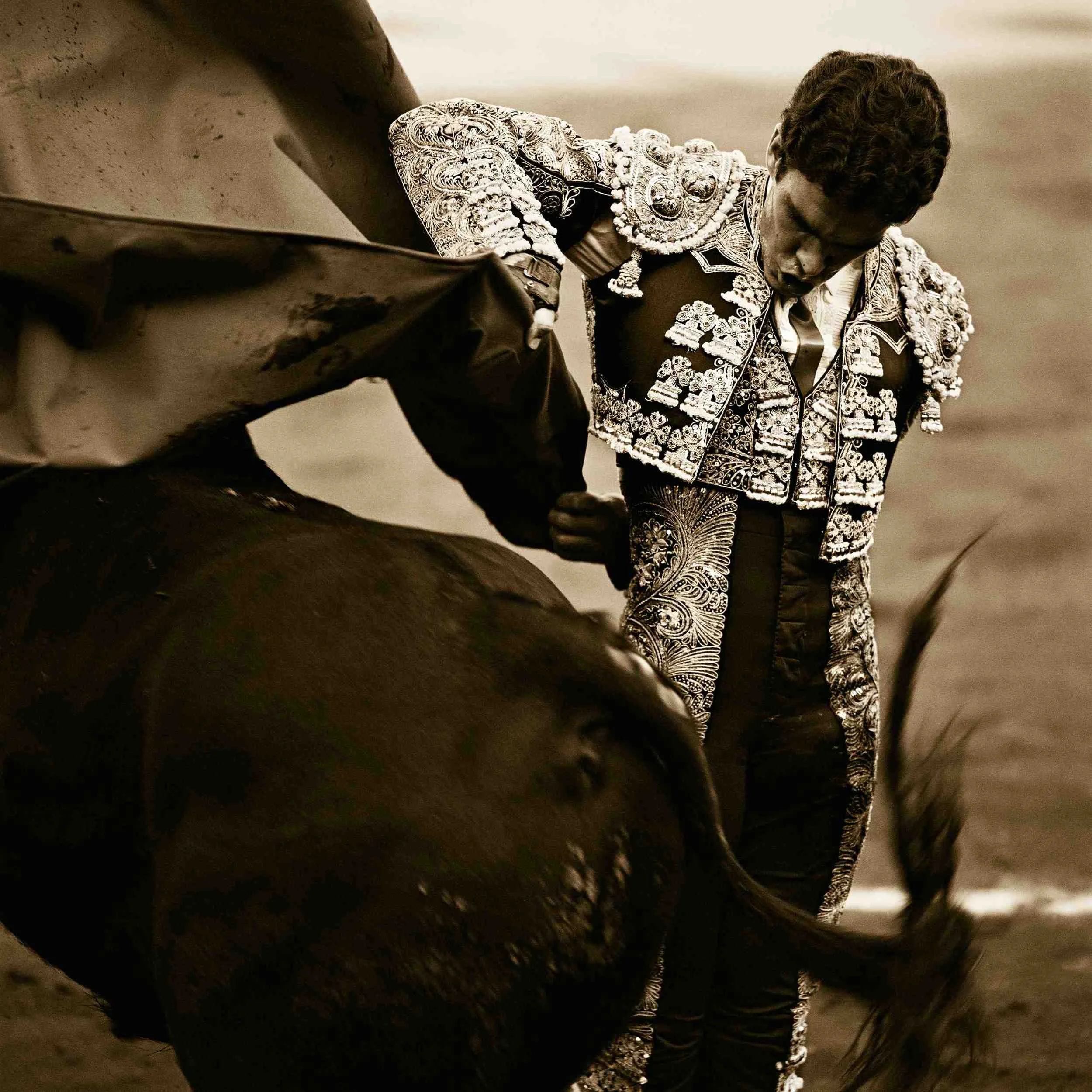 9 crop jose tomas small.jpg