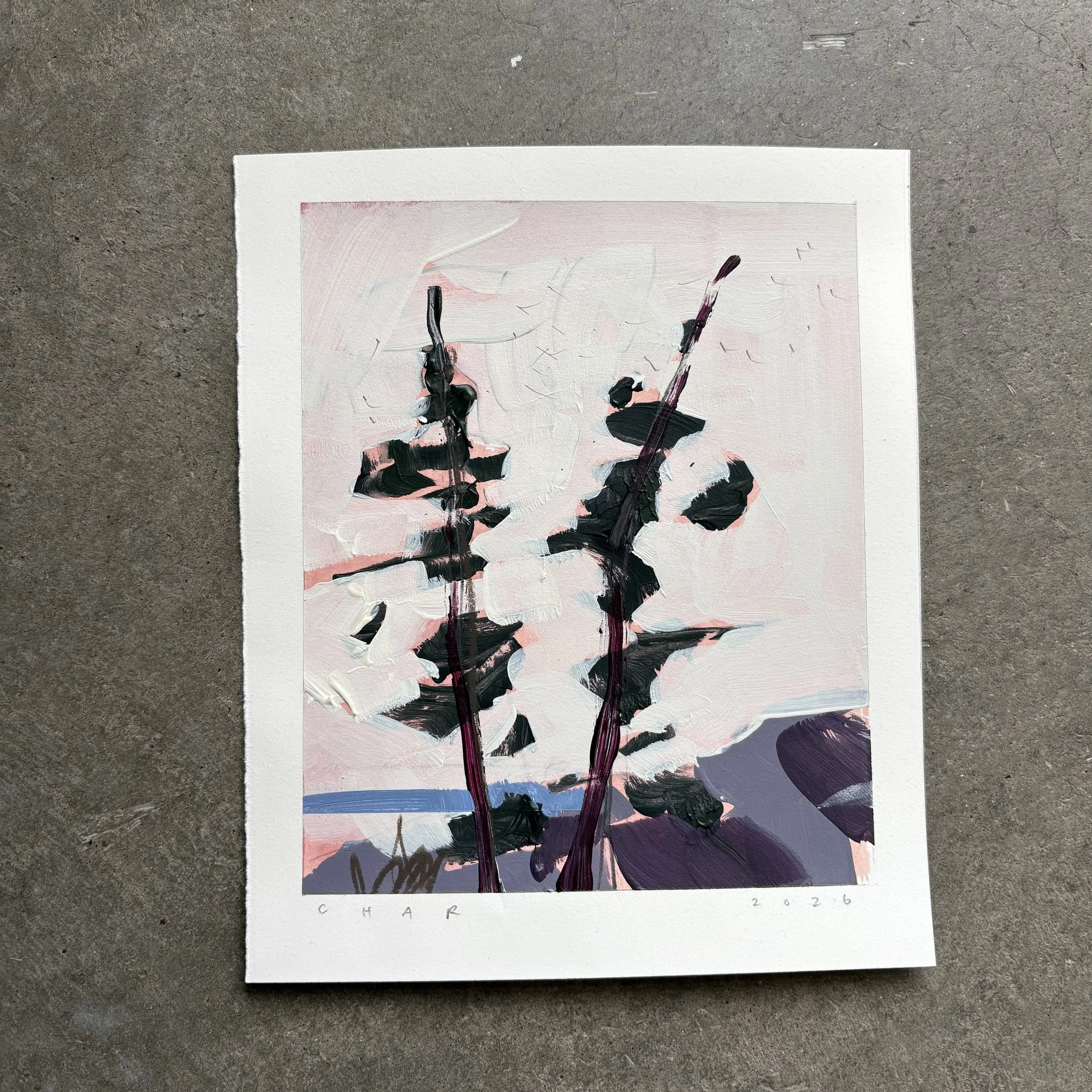 IMG_7487.jpeg