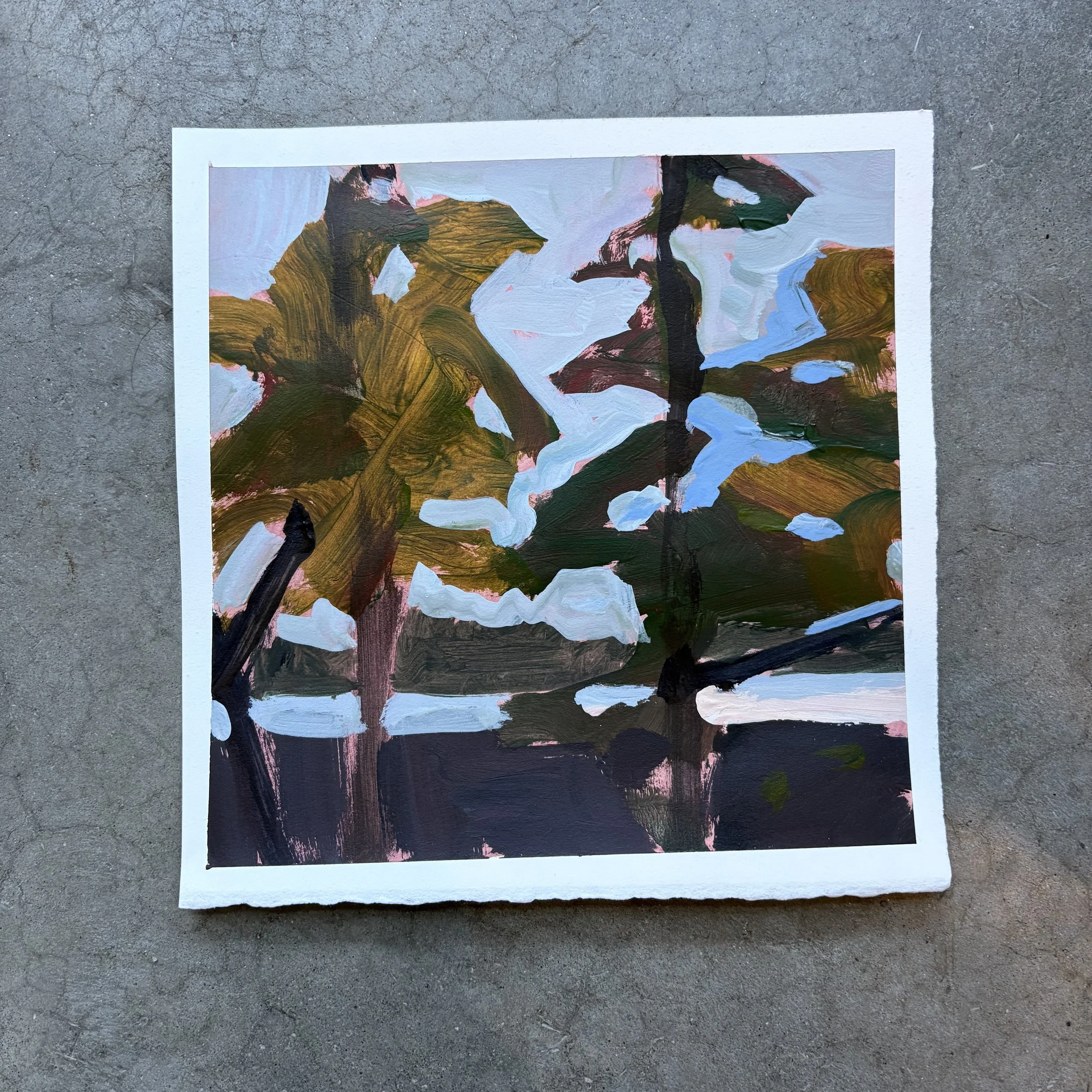 IMG_9312.jpeg
