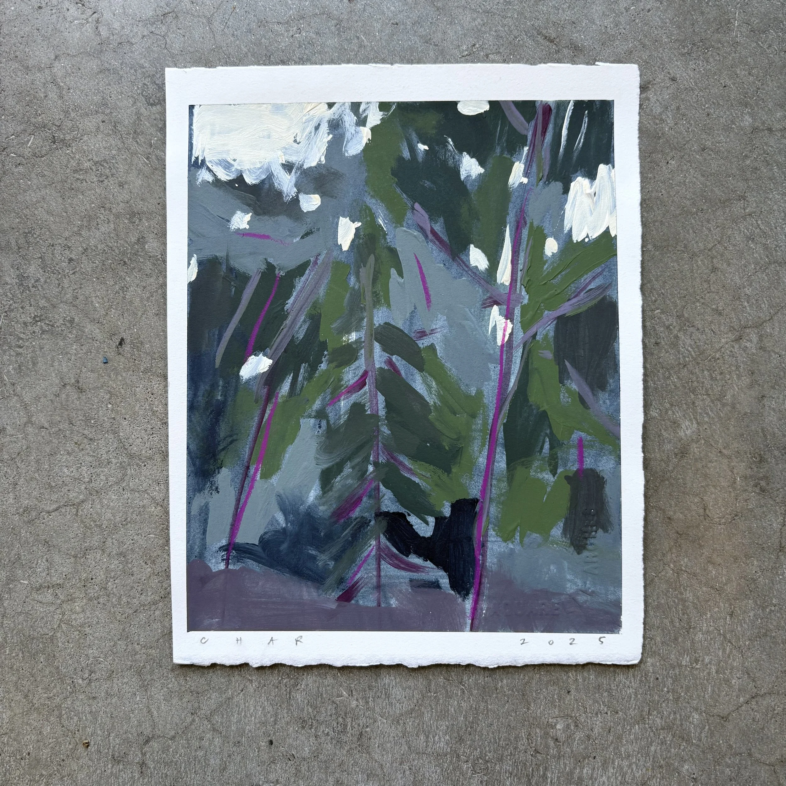IMG_8864.jpeg
