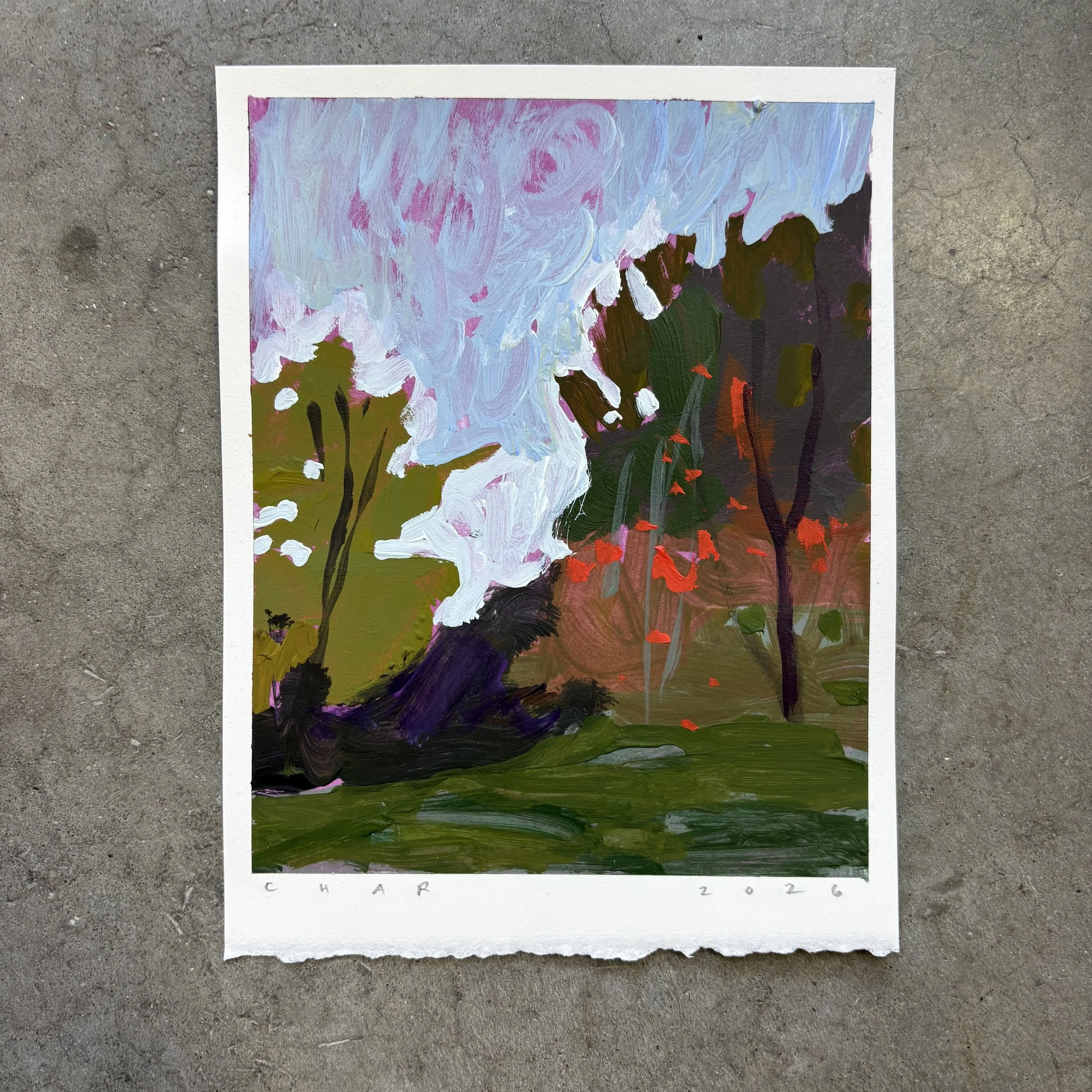 IMG_9654.jpeg