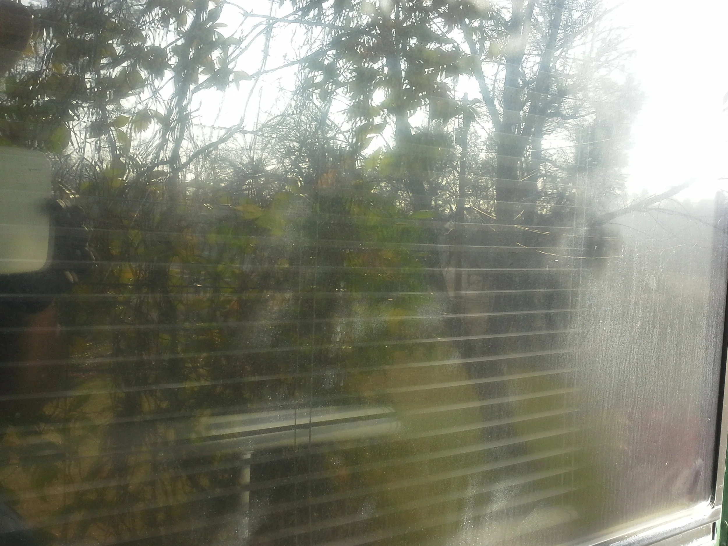 20140109_102935.jpg