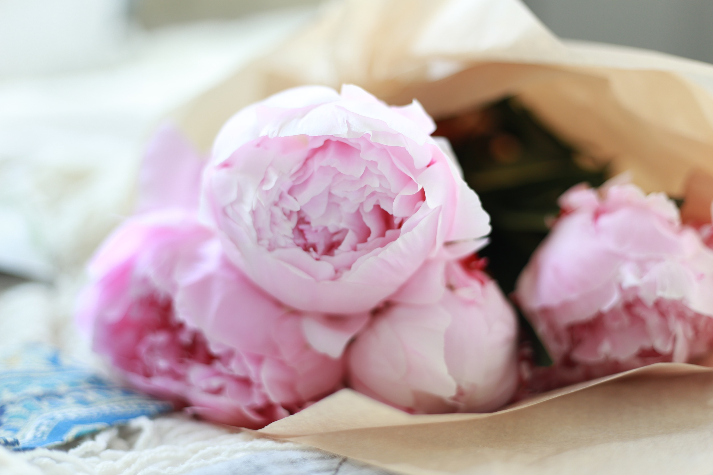 Photography by Adrienne Wing