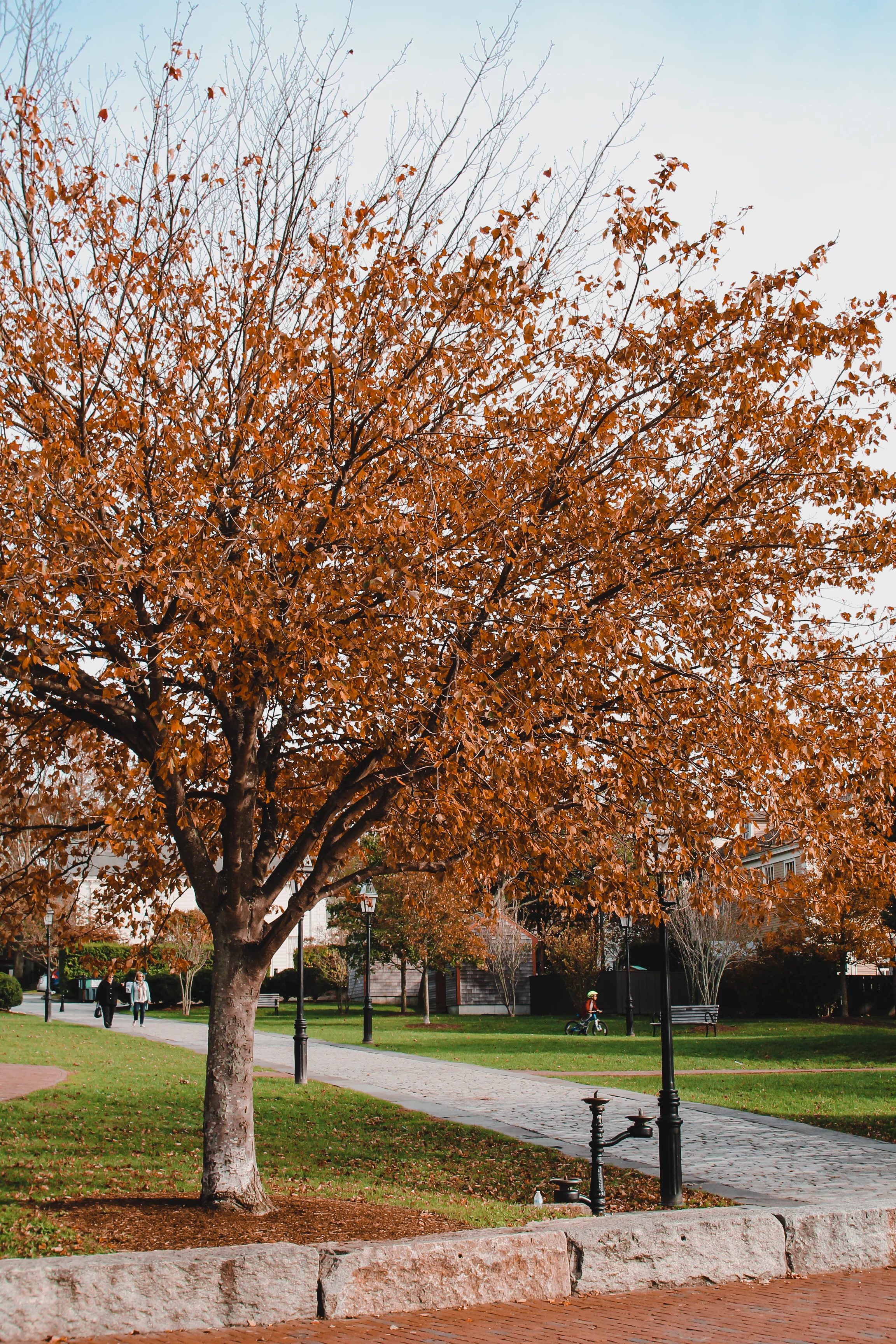  new england in the fall colors