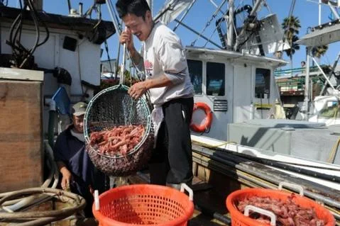 Saturday Fisherman's Market