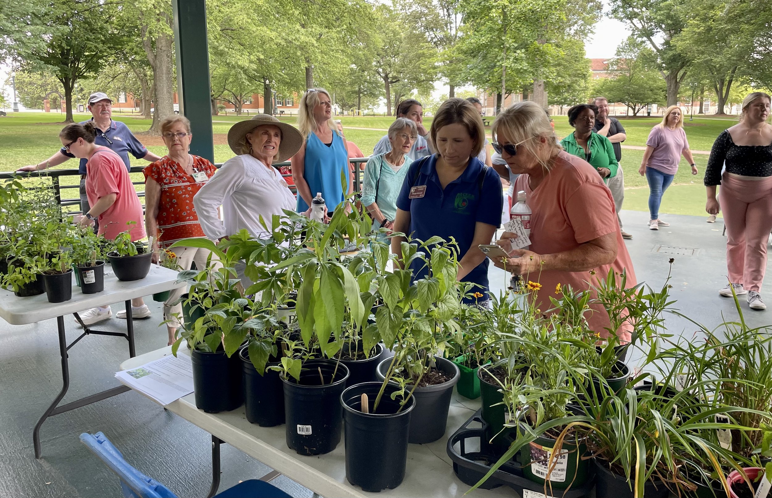 Plant swap 2023 19.jpg