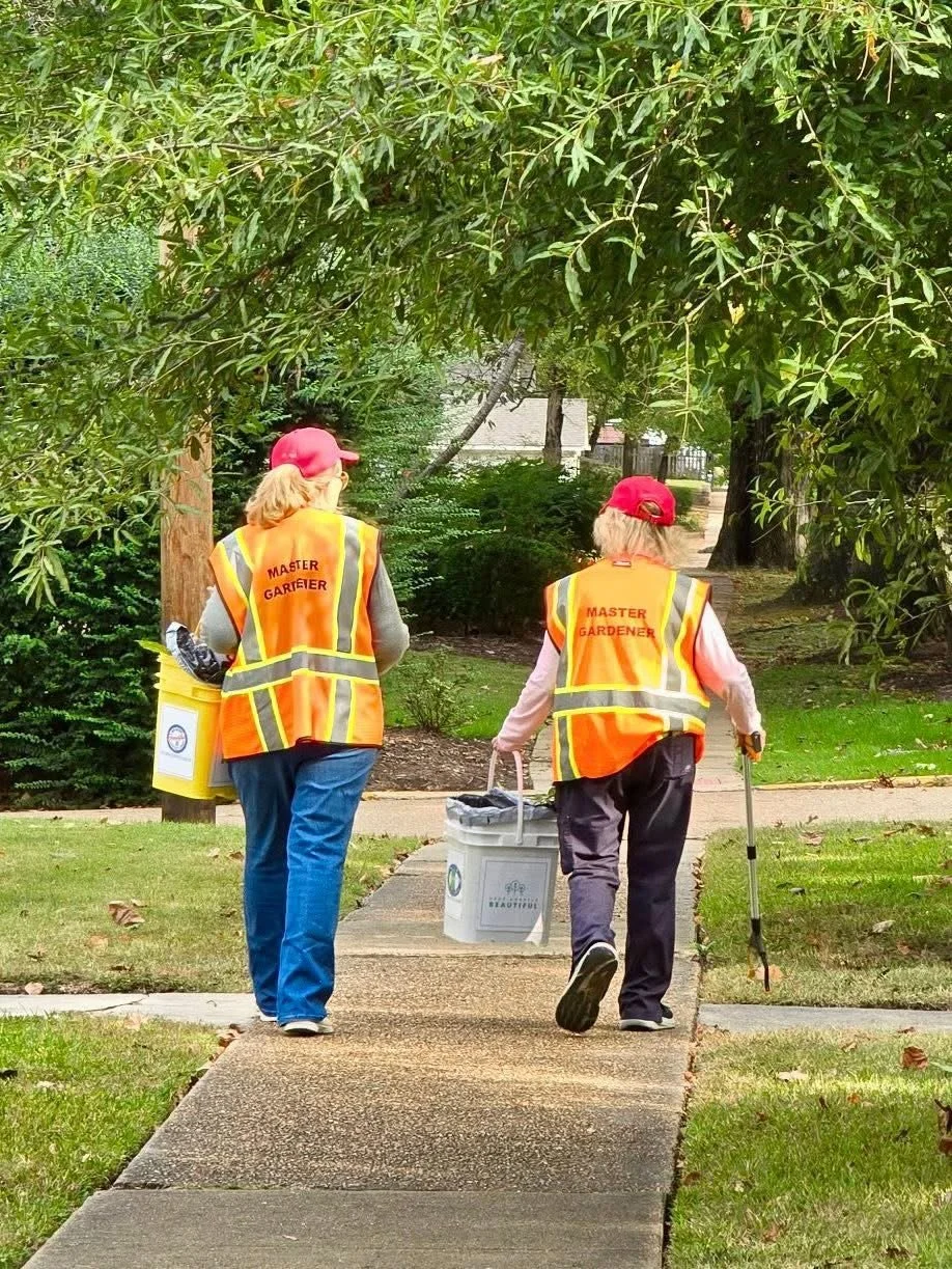 Lamar St 10-2025 5.jpeg