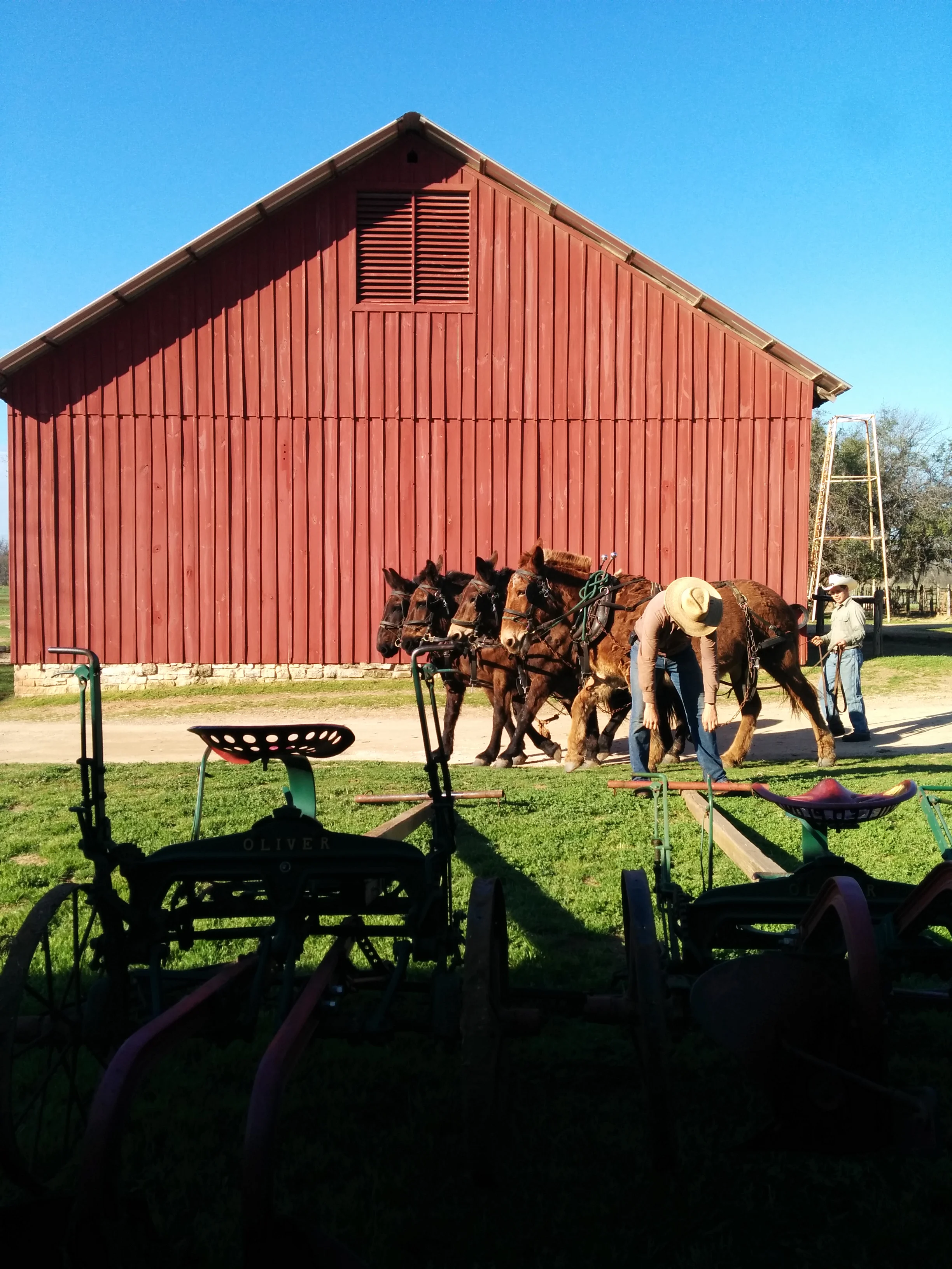 IMG_20150314_094342.jpg