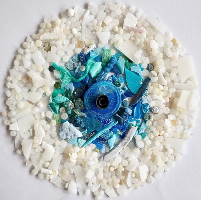 👁 see...lots of microplastic! 
I placed these samples (which took minutes to collect) in this visual flatlay to aid our understanding of the intimate and harmful biological presence of microplastics in our bodies. 
We now have plenty of research bac