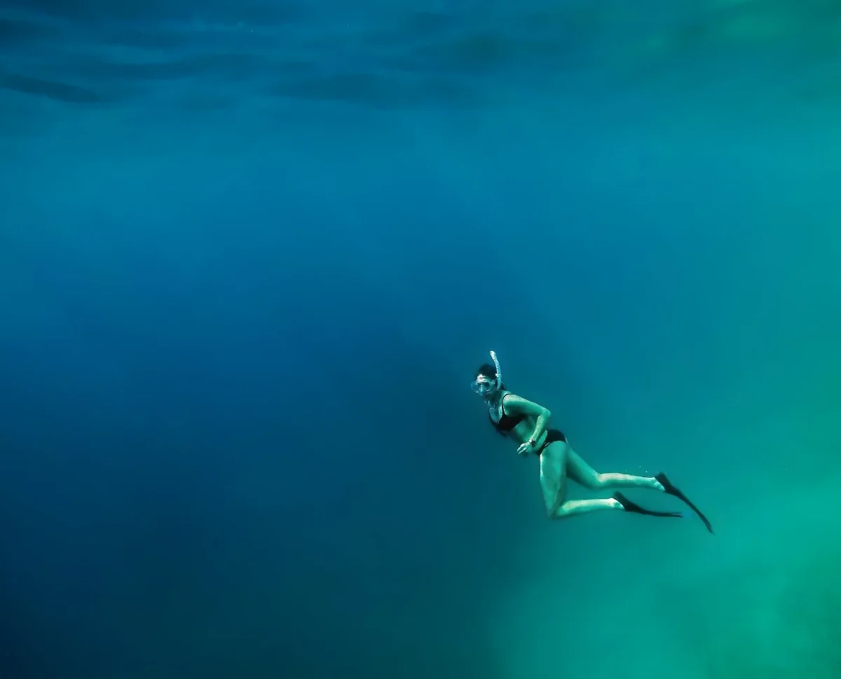 Immerse yourself into Life. There is no separation... Image: Finn Gross Maurer / Unsplash