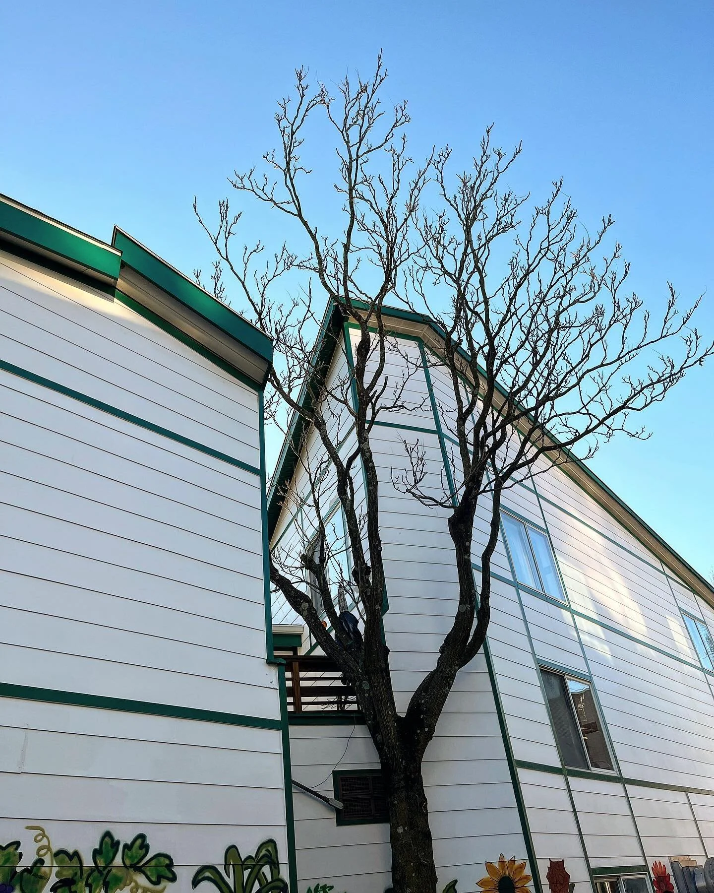 Bloomington, Indiana at IU doing research @iuahcouncil