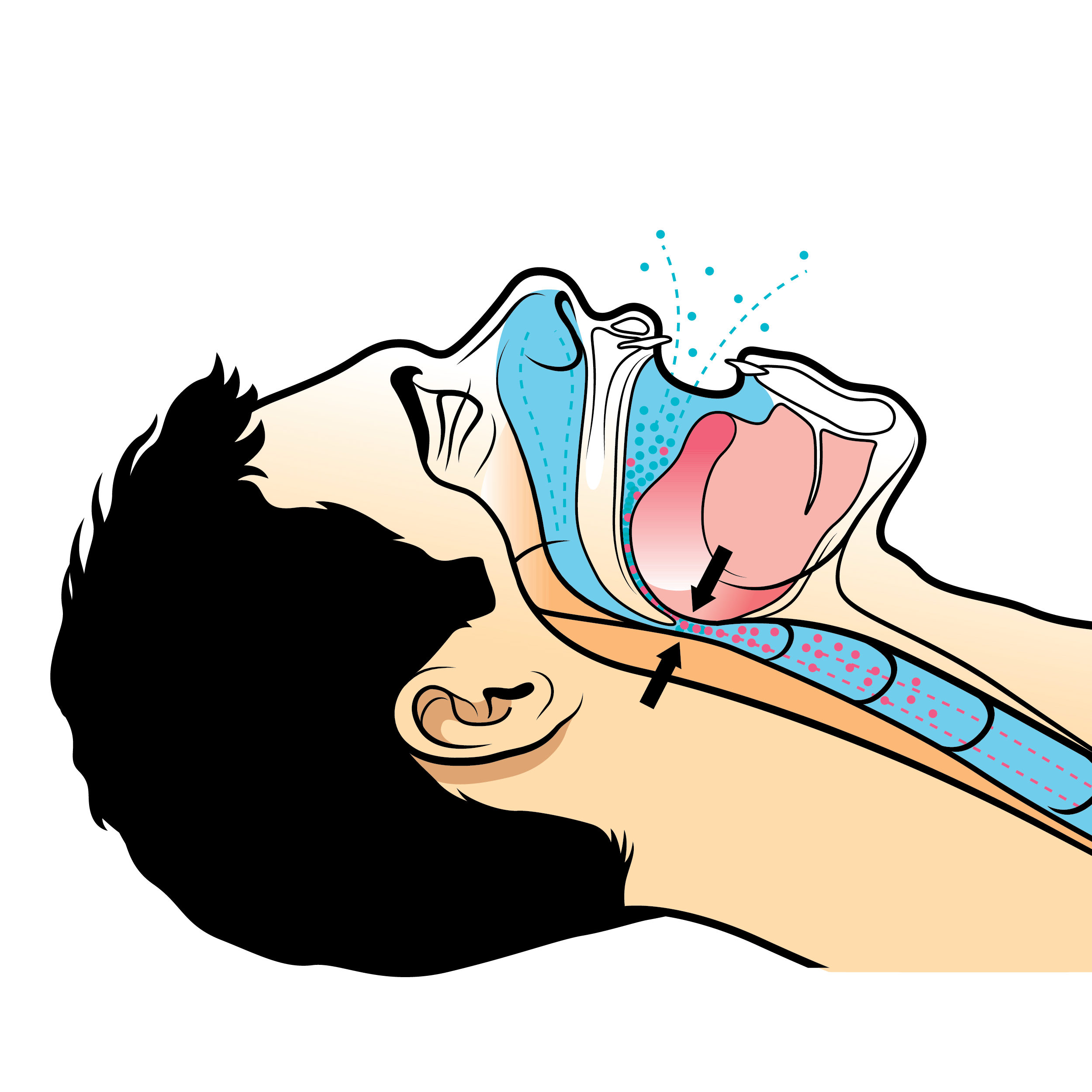 TM_Detwiler_Technical_time_snore-01.png