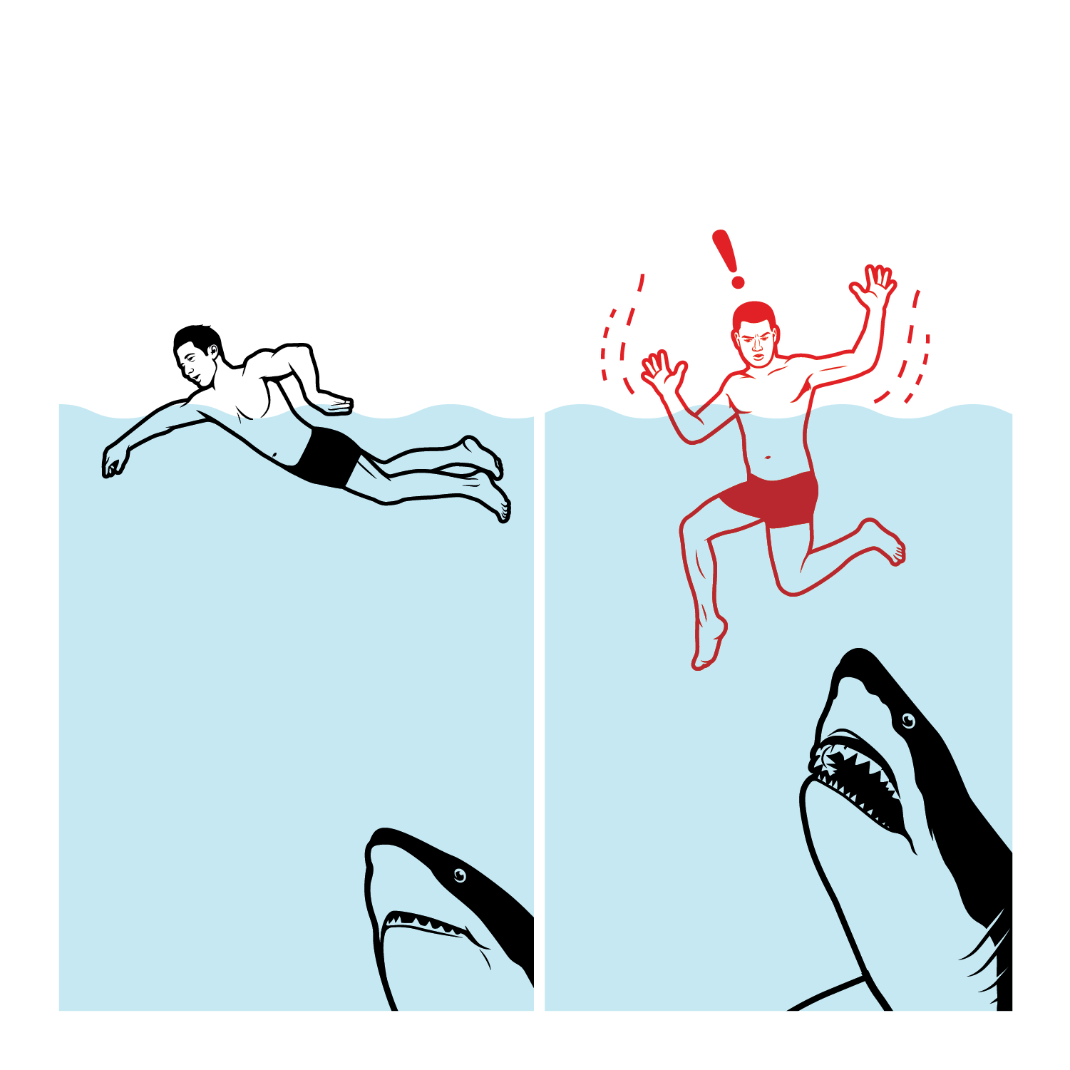Discovery_Shark_Attack__TMD-01.png