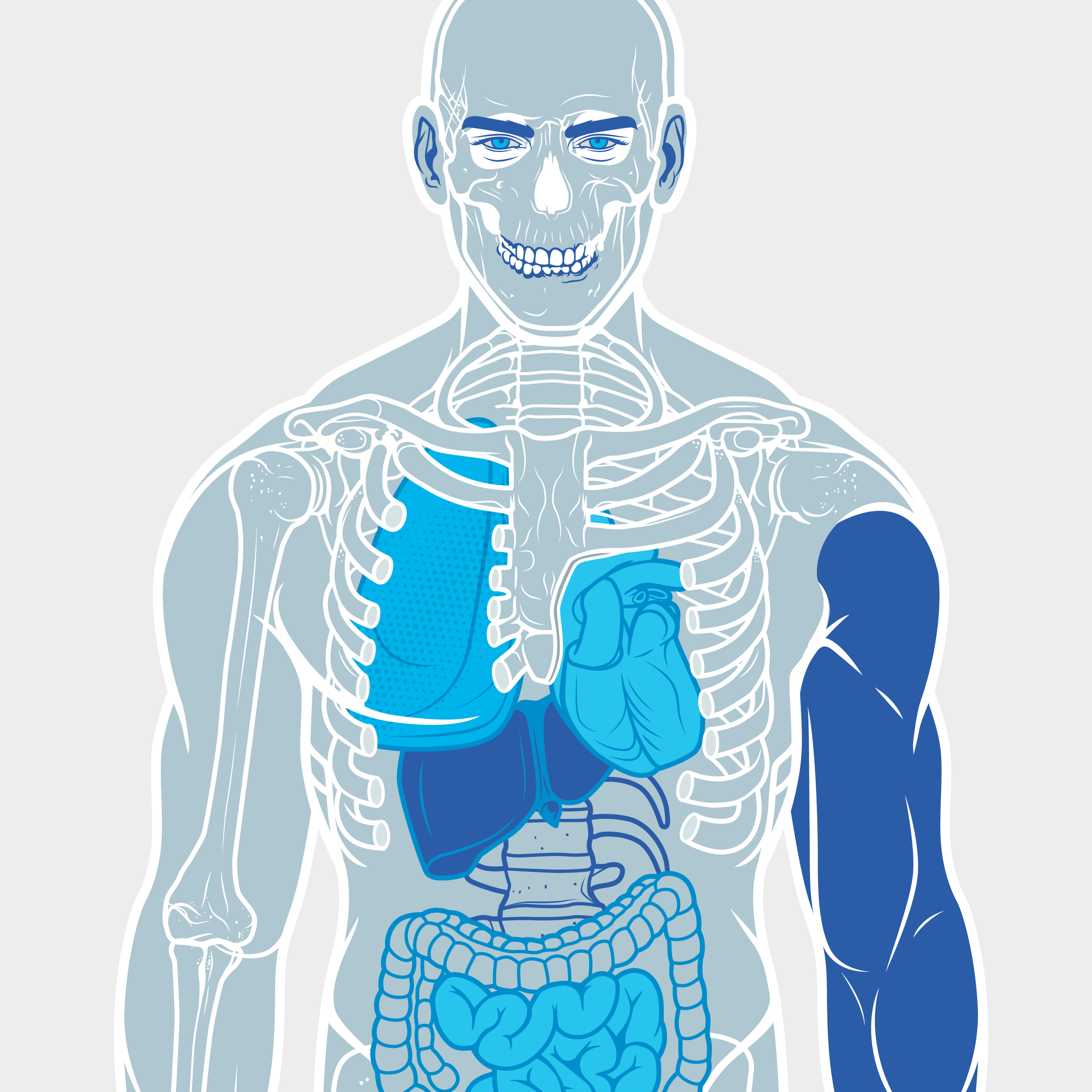 MH_Body_7_er.png