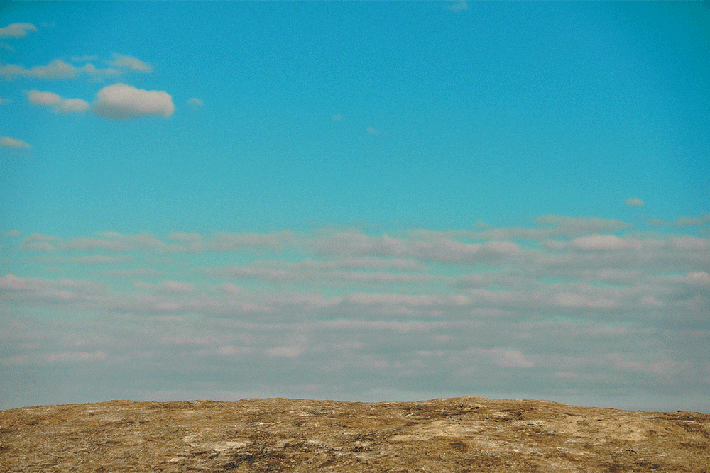 hales-photo-st-beauty-gif-2.gif