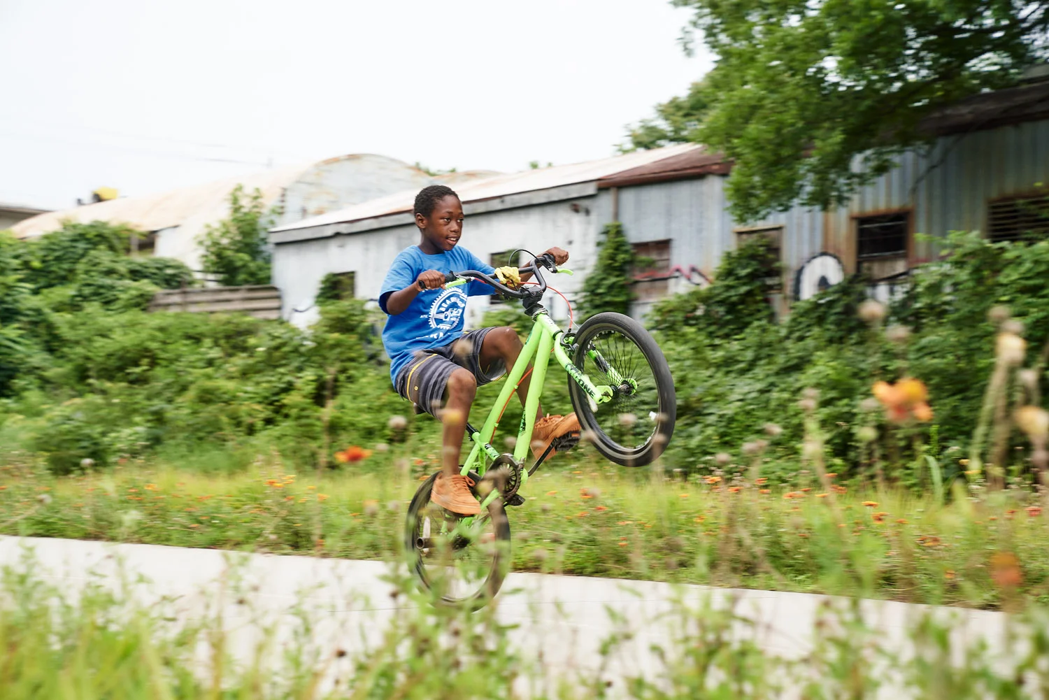 Hales Photo-Bearings Bikes 2019-0165.jpg