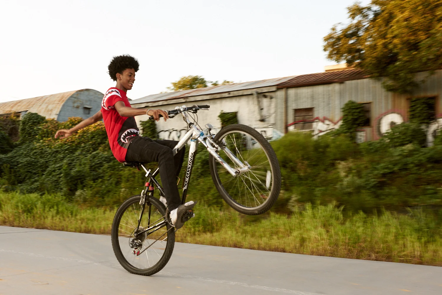 Hales Photo-bearings bikes-web-1284.jpg