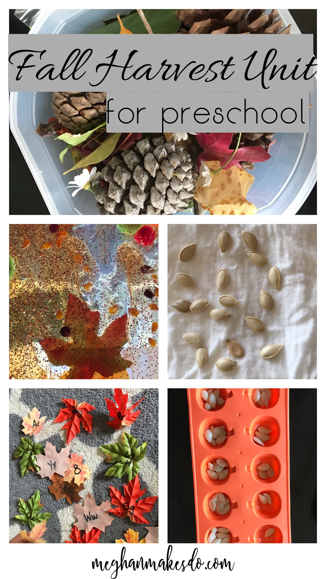 Fall Harvest Preschool.jpg