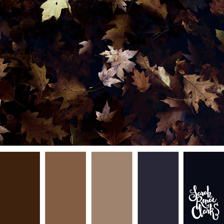 Color-palette-145-autumn.jpg