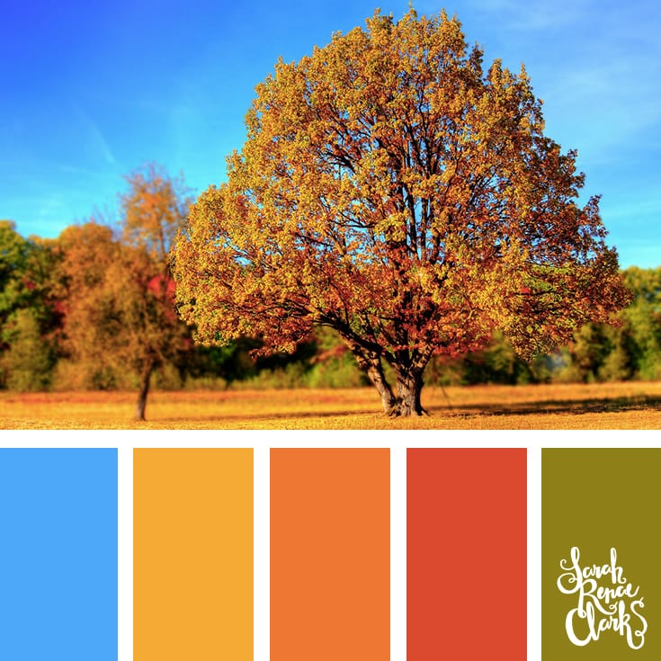Color-palette-127-autumn.jpg