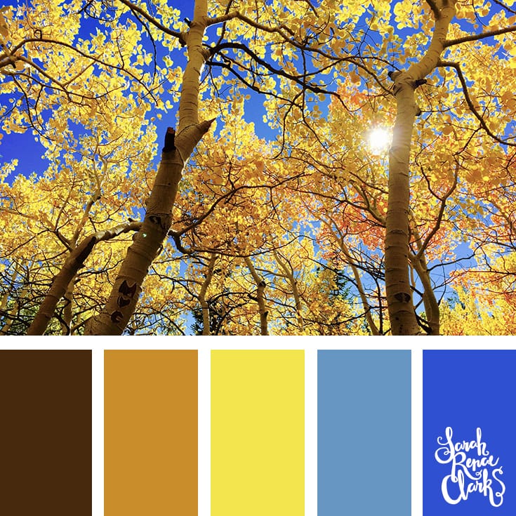 Color-palette-139-trees.jpg
