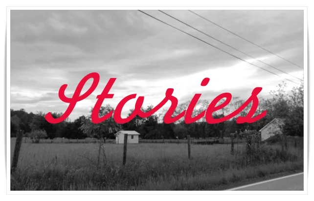 WV hills while driving to Thomas, WV for the opening of Lamplight Art Gallery Summer '15.