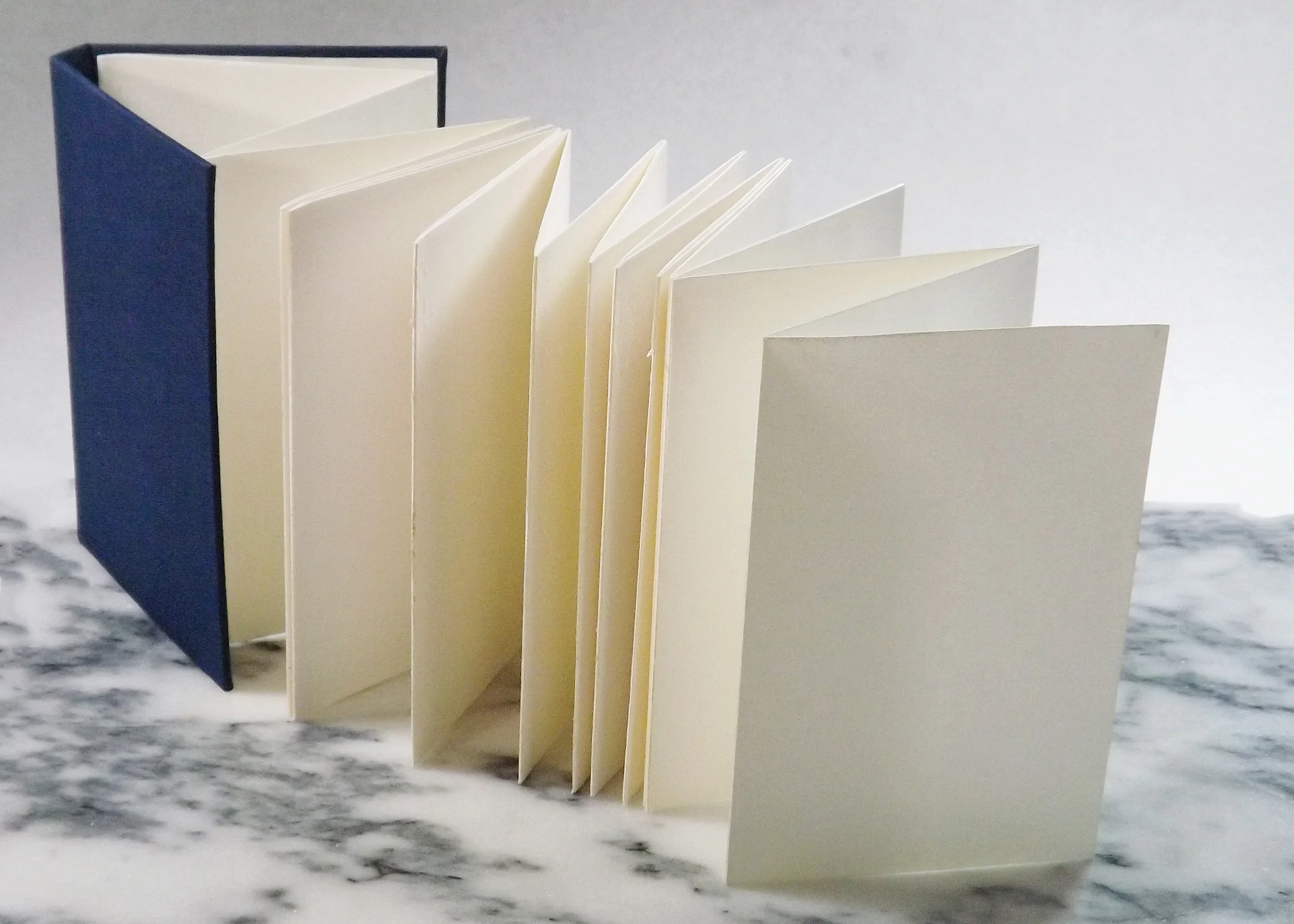 navy_accordian_book.jpg