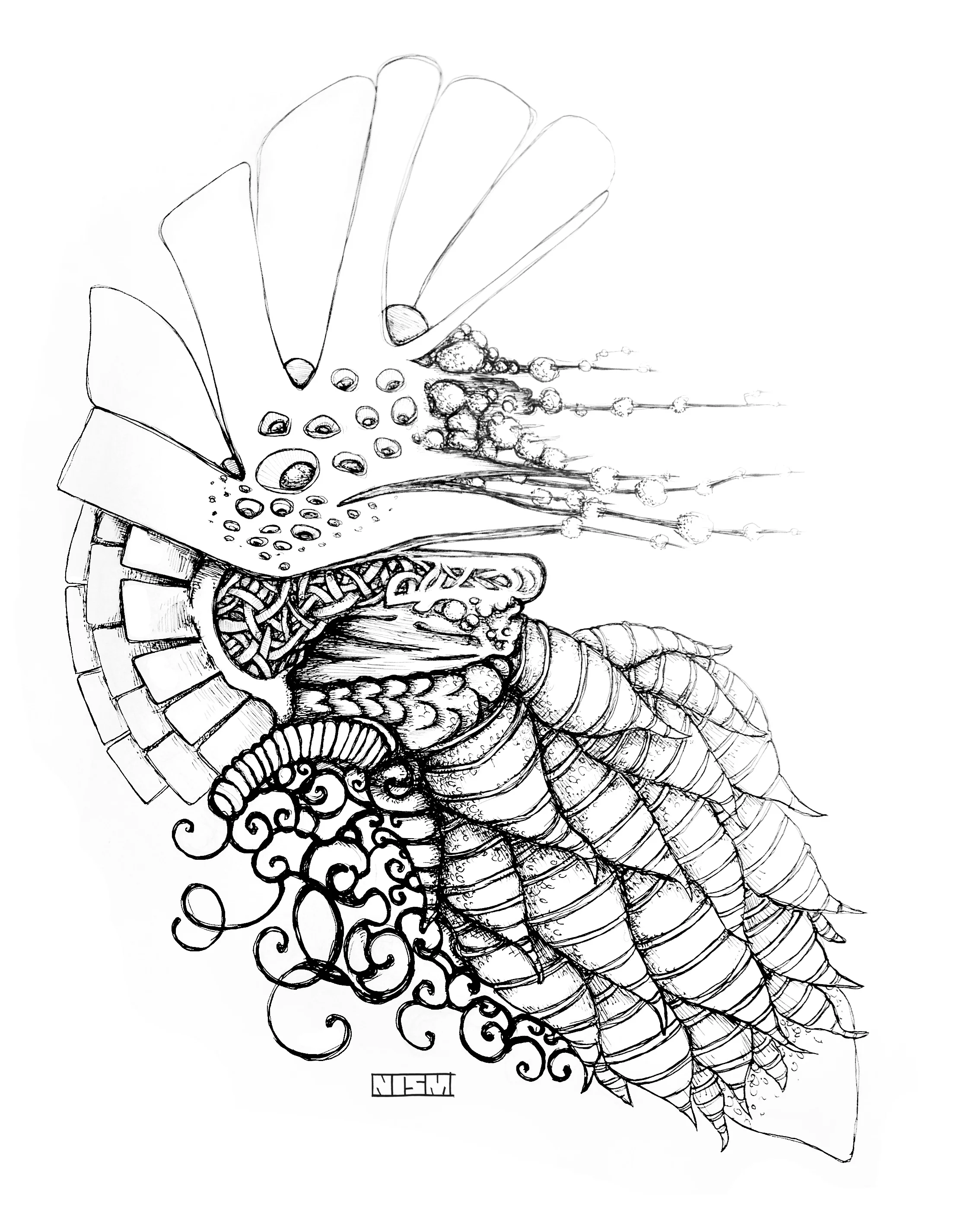 Cone