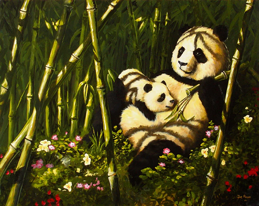 pandas.jpg