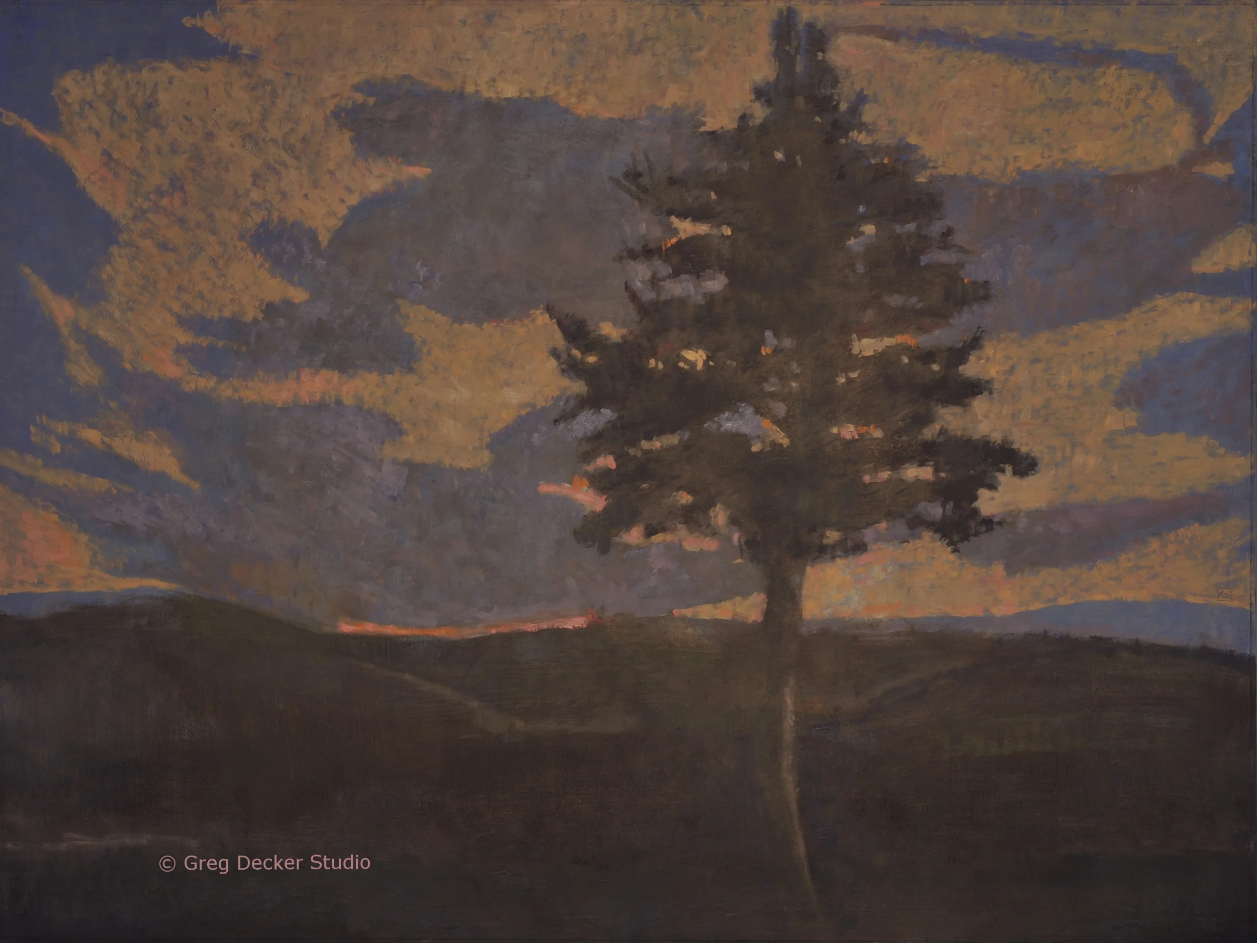 Evening (Conifer)