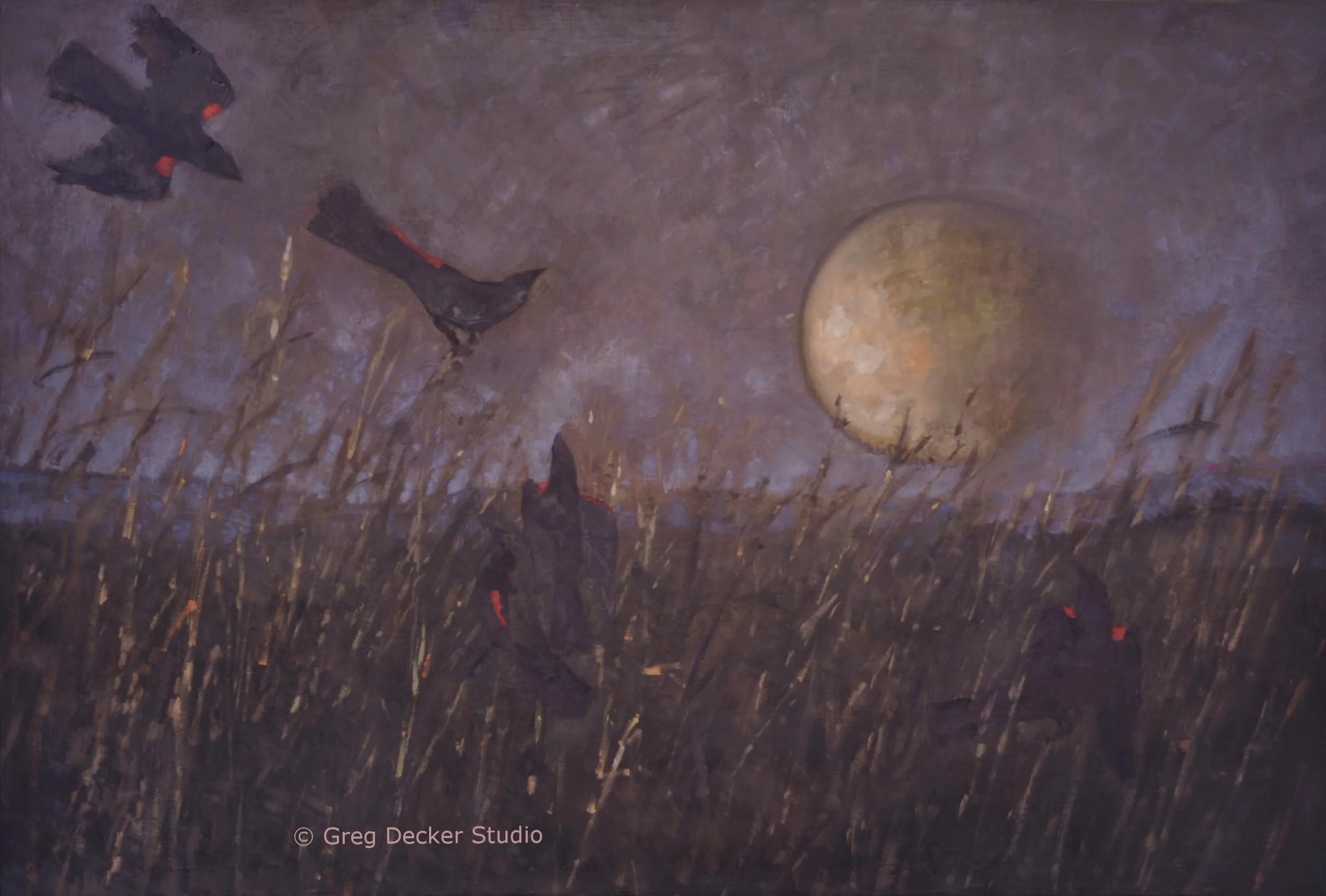 Birds and Moon