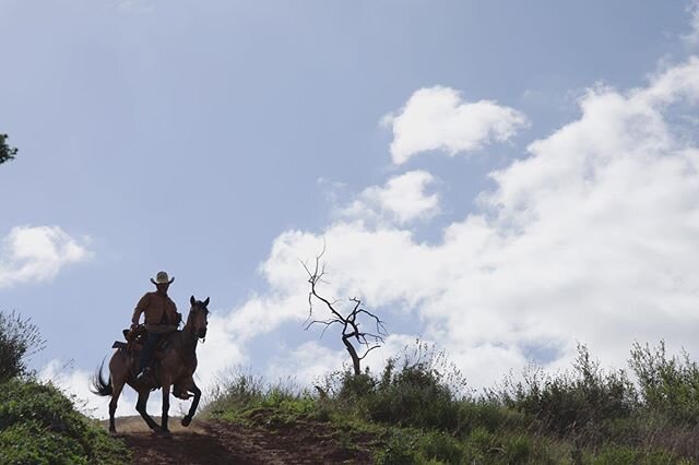 Ryan coming down a steep hill on his high horse from yesterday&lsquo;s adventure with Hodis. #cowboy #hollywoodhorses