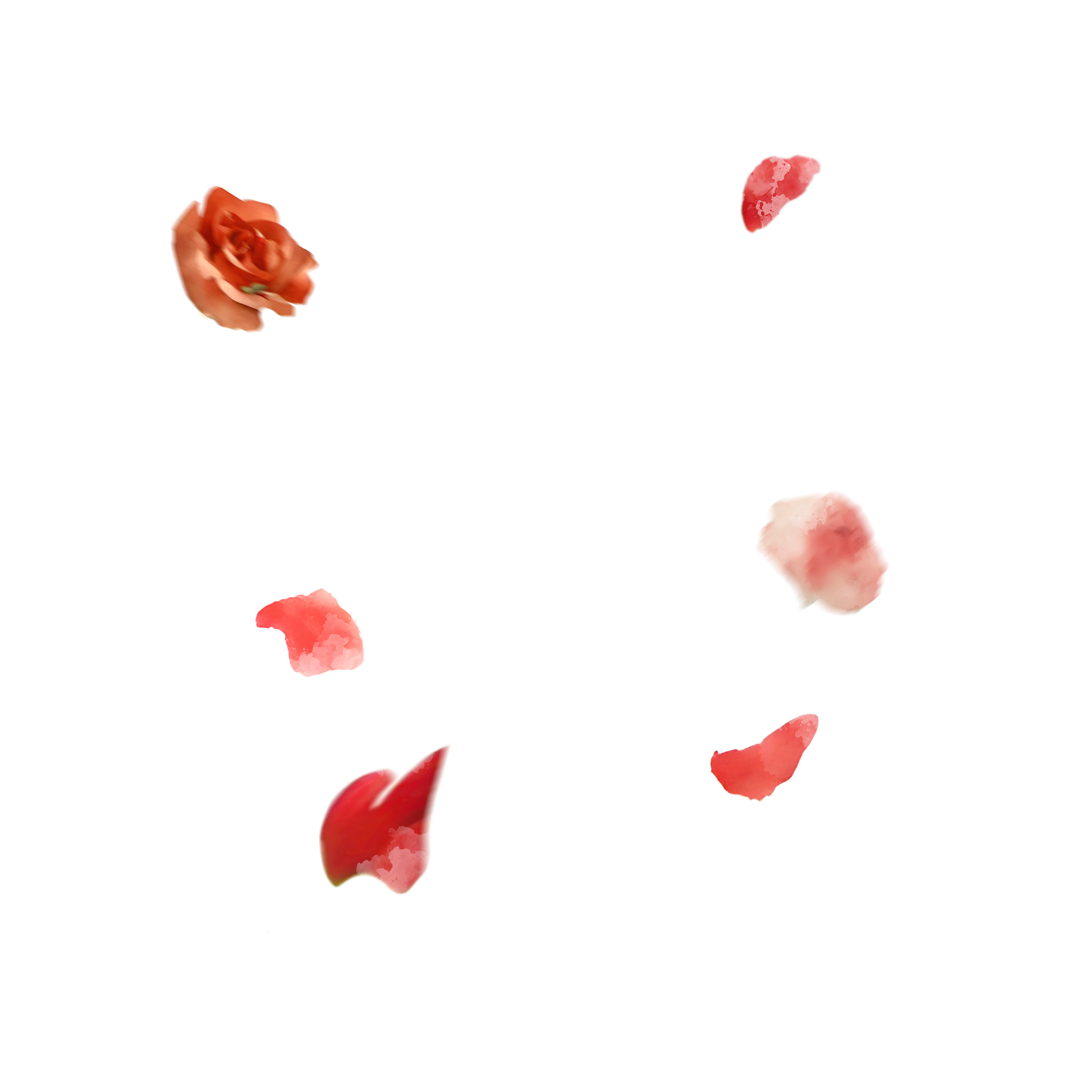 Swirling Roses