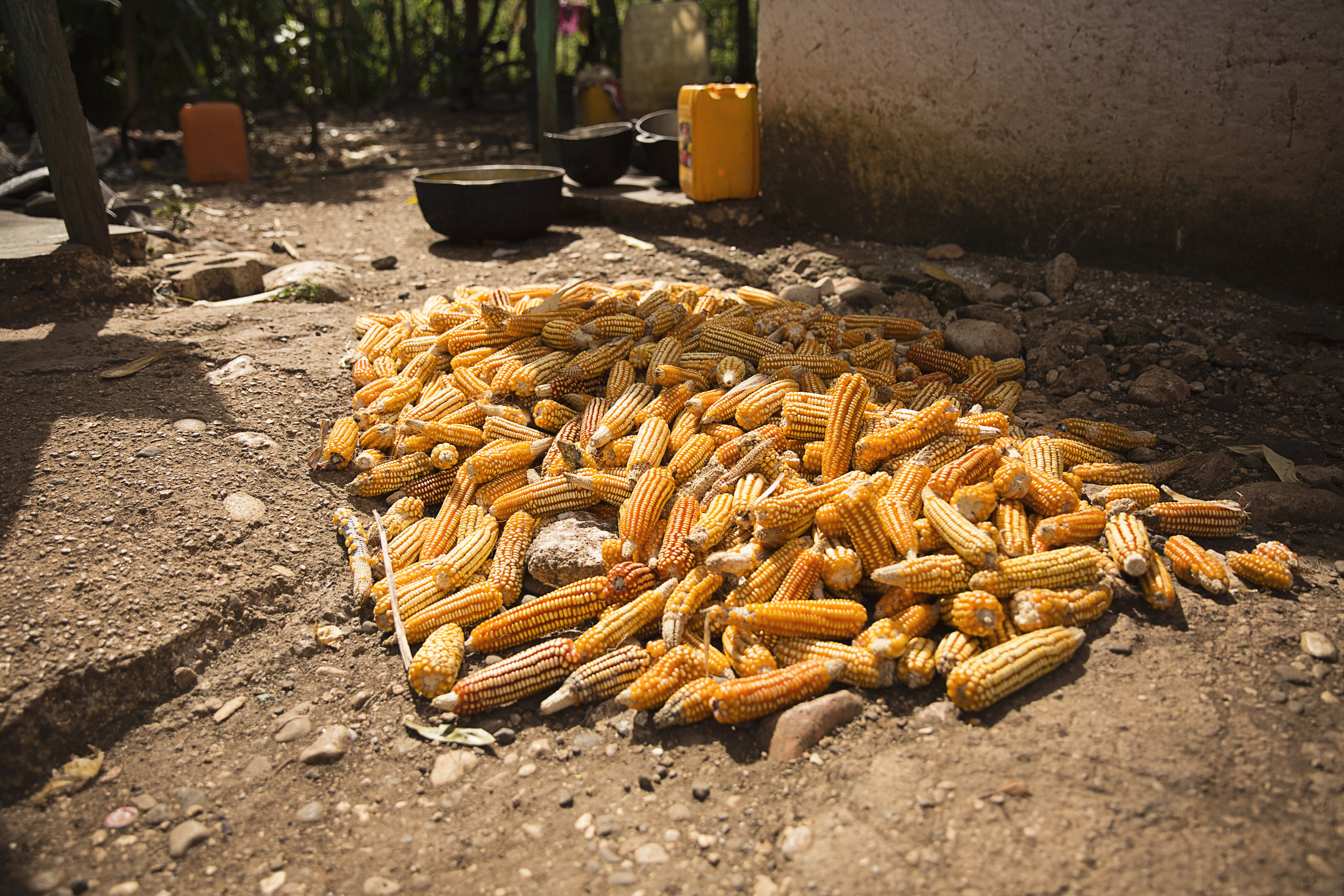 Being headquartered in Indiana, we're very familiar with corn. On our last trip, seeing these ears piled up in the Haitian market reminded us of home!