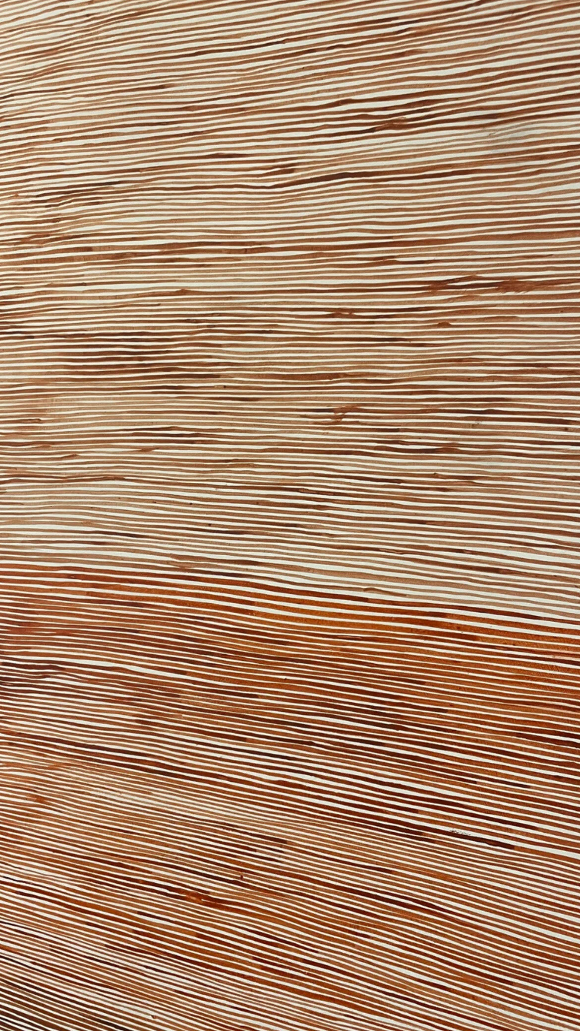 7E2BB745-3B0B-4580-AAB9-8BC3D9A1DB92