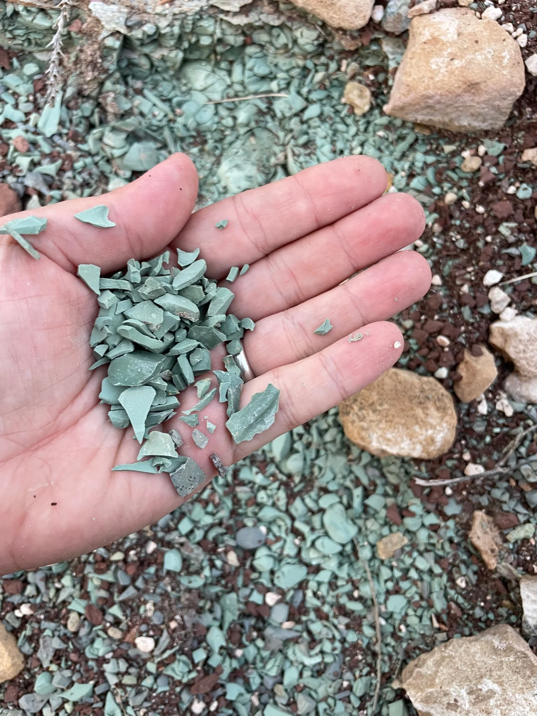 31F0BFDF-E2F5-40C6-ACC5-8979CC5BB043