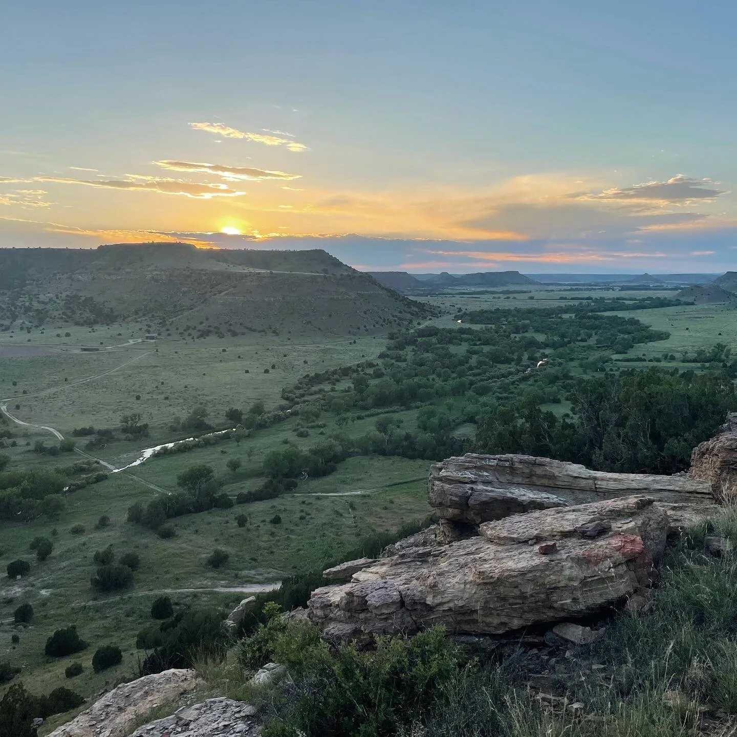 A666B0F2-013A-4D1D-A697-4AE052E7B71E