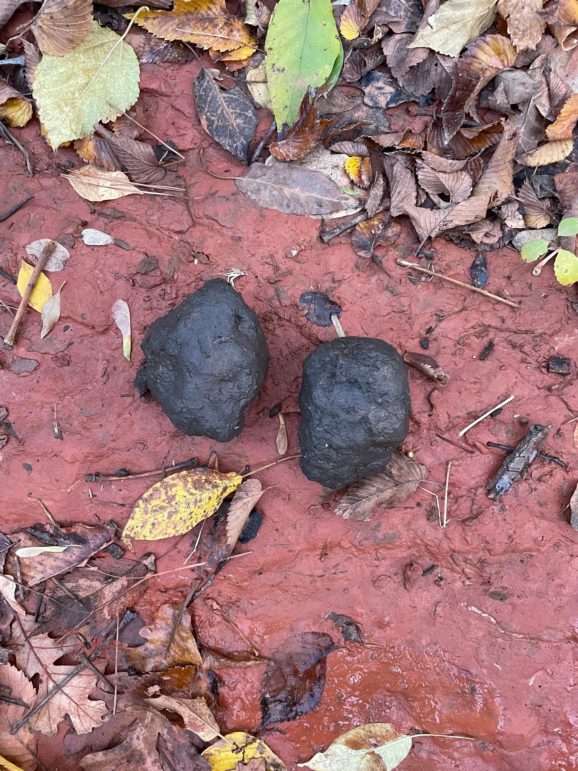 1DF9648B-8AEE-402C-AE24-F94DE9089DCB