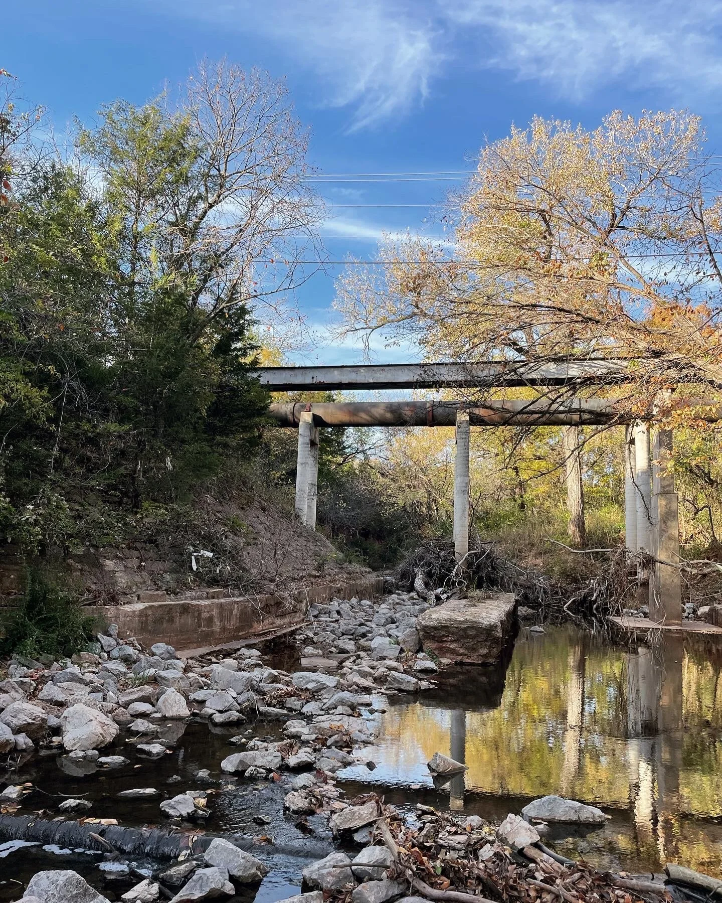 B10C9123-CAEC-43F3-8DD1-65D70A465D36