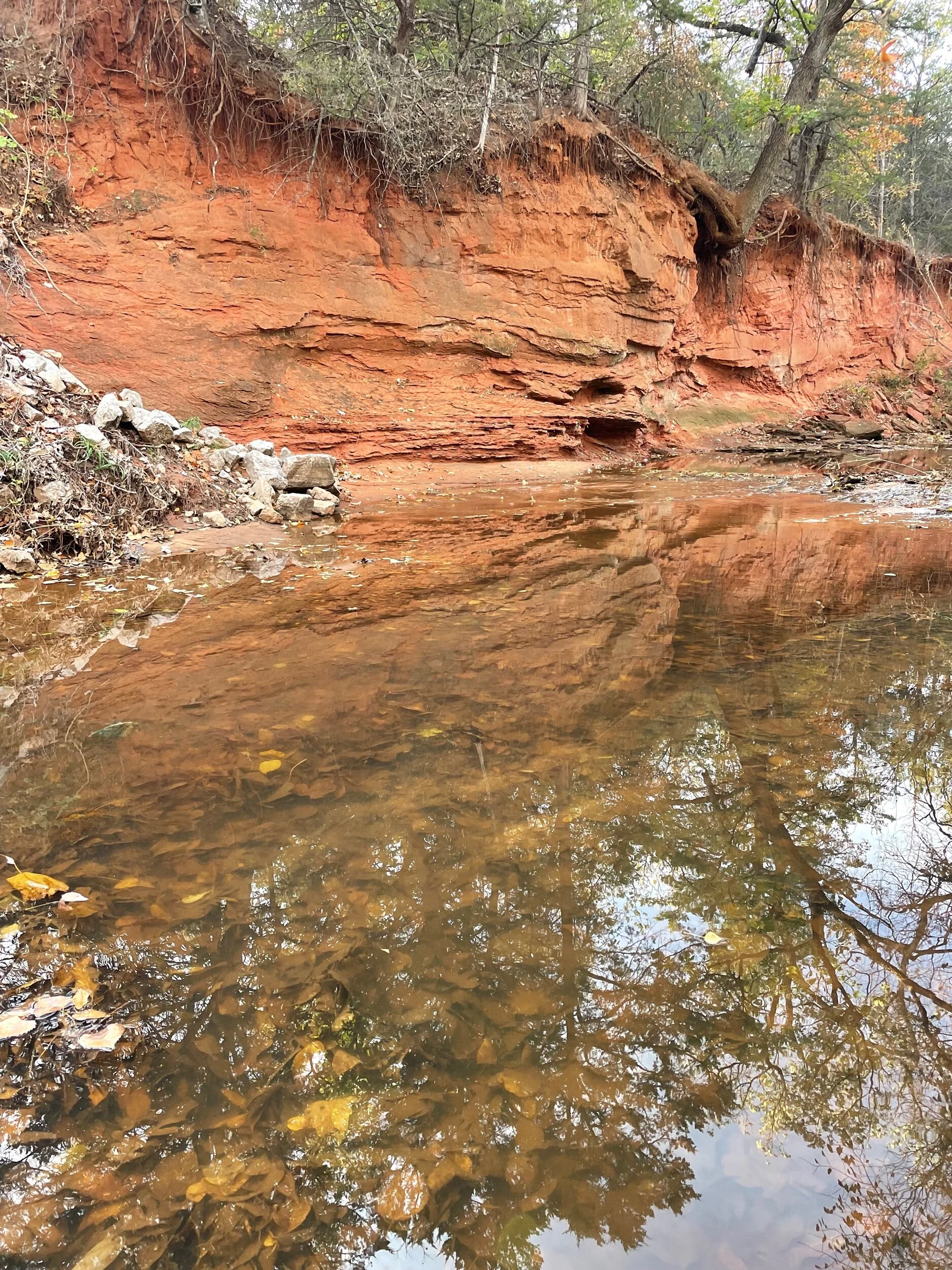 38F87A02-3257-446F-9CF9-CD873E9DF486